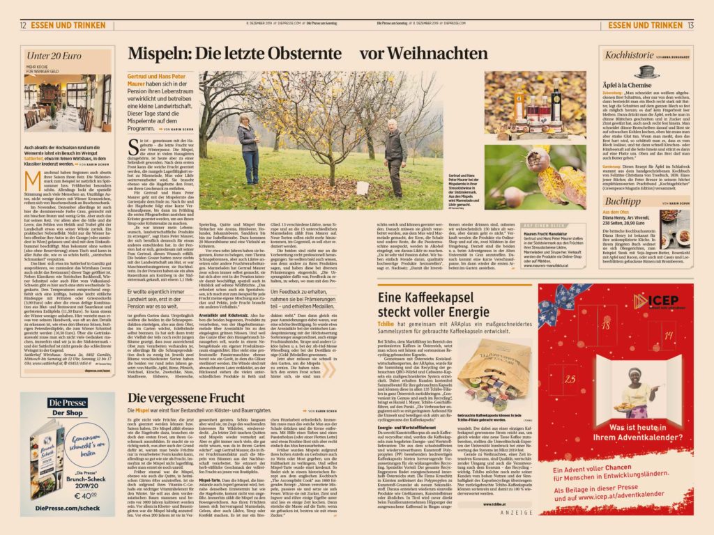 Mispeln: Die letzte Obsternte vor Weihnachten